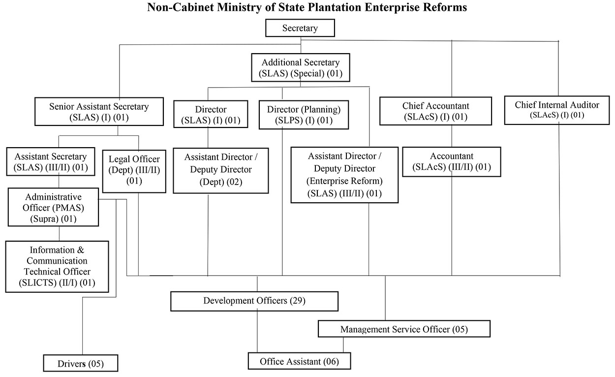 Organizational Structure