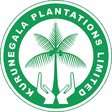 Kurunegala Plantations Limited