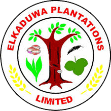 Elkaduwa Plantations Ltd